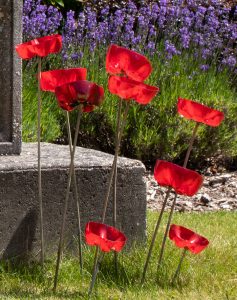 Poppies on the Memorial Plaque outside Lymington Hospital