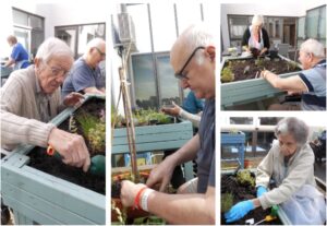 Stroke Garden being planted by patients